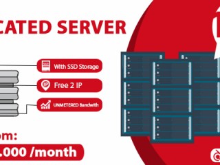 Промо сервер. Sale Server. Dedicated Server примеры. Dedicated размер. Dedicated Server перевод.